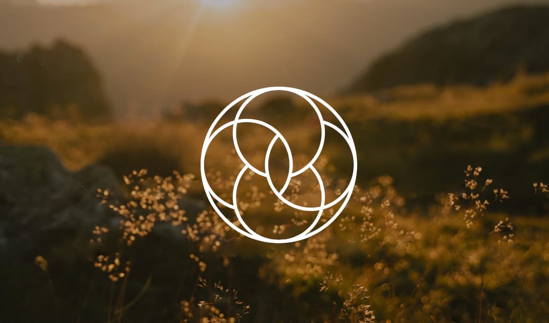 AMRE Aesthetics & Wellness